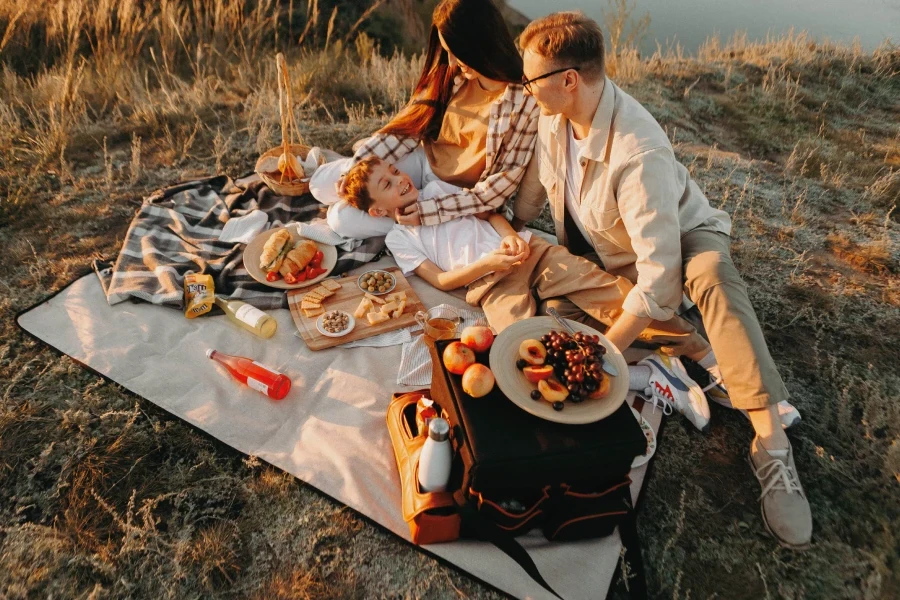 family picnic using organizer lid as table